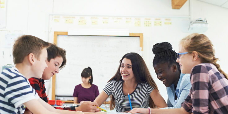 Come organizziamo la collaborazione fra pari nell’ora di matematica? I gruppi collaborativi