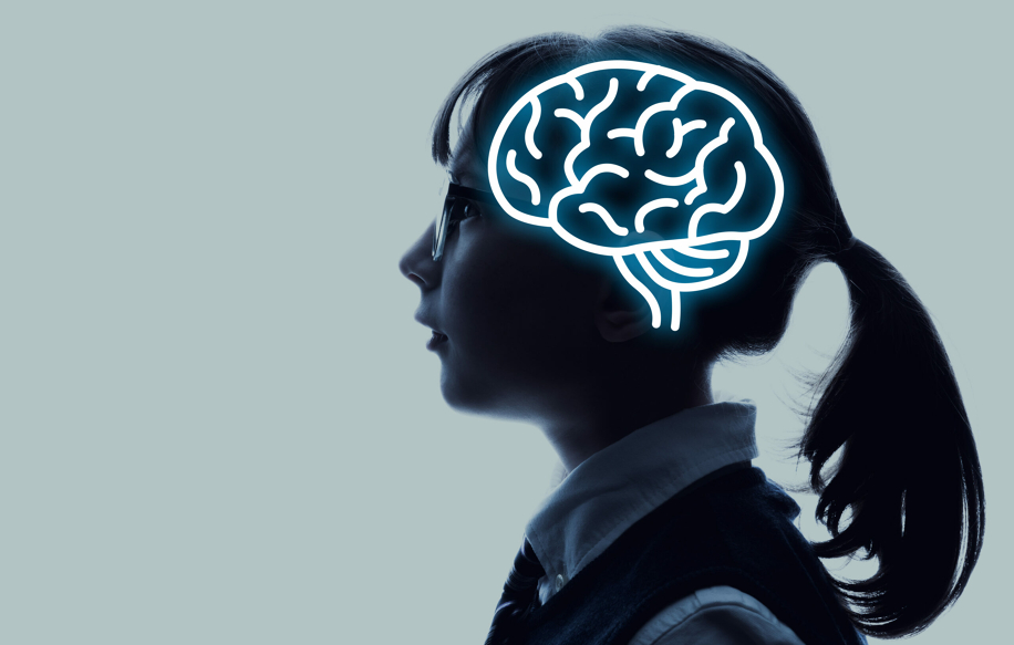 Imparare è questione di testa: come le neuroscienze possono aiutare a sviluppare apprendimento efficace