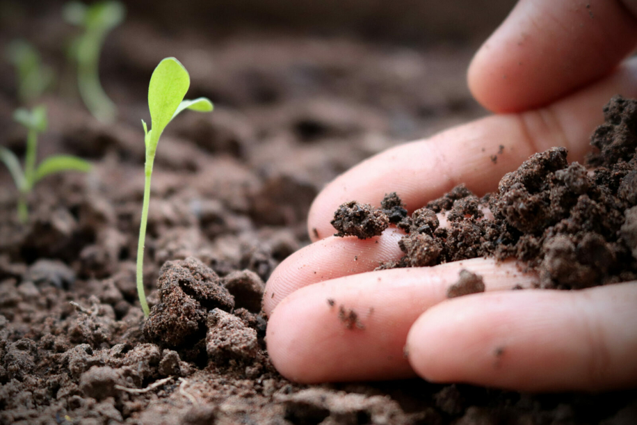 Ecosistema Benessere – La salute umana passa dal capitale naturale