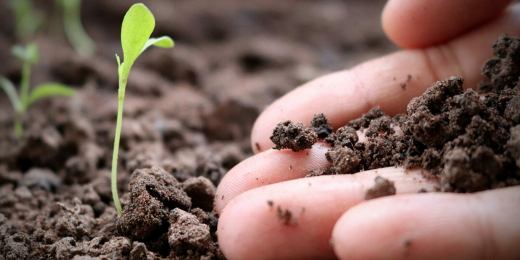 Ecosistema Benessere – La salute umana passa dal capitale naturale