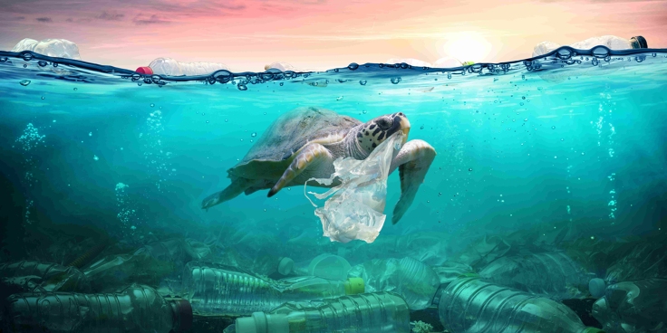 Dove finisce la tua bottiglietta di plastica?