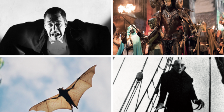 Pipistrelli, vampiri e paurose leggende: Halloween è in arrivo!