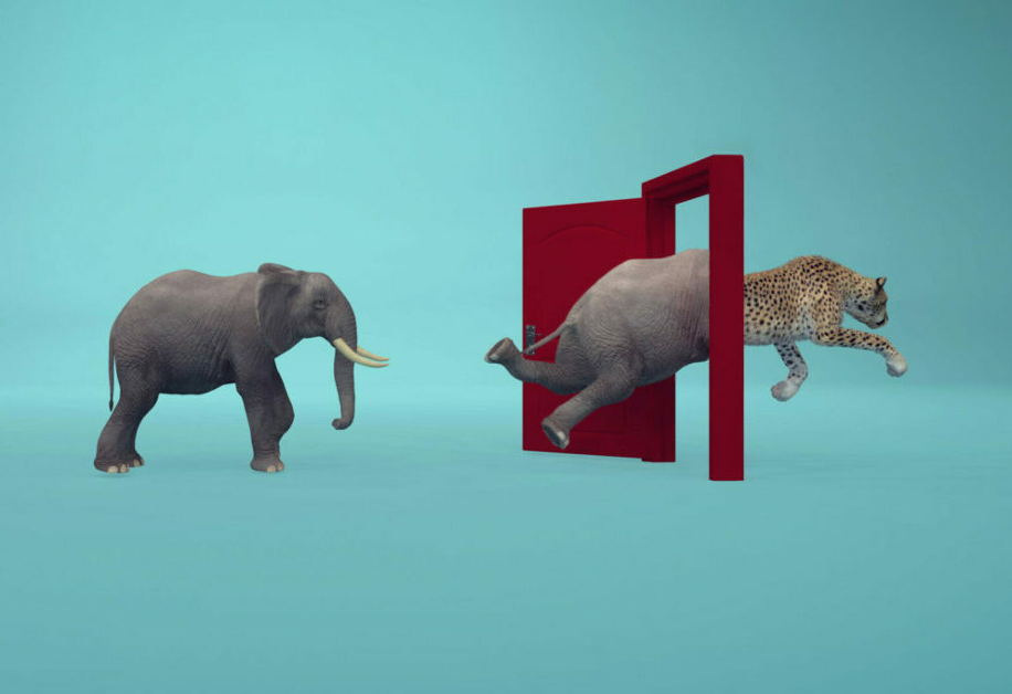 Innovazione per il cambiamento: una strada percorribile, se sai come farlo