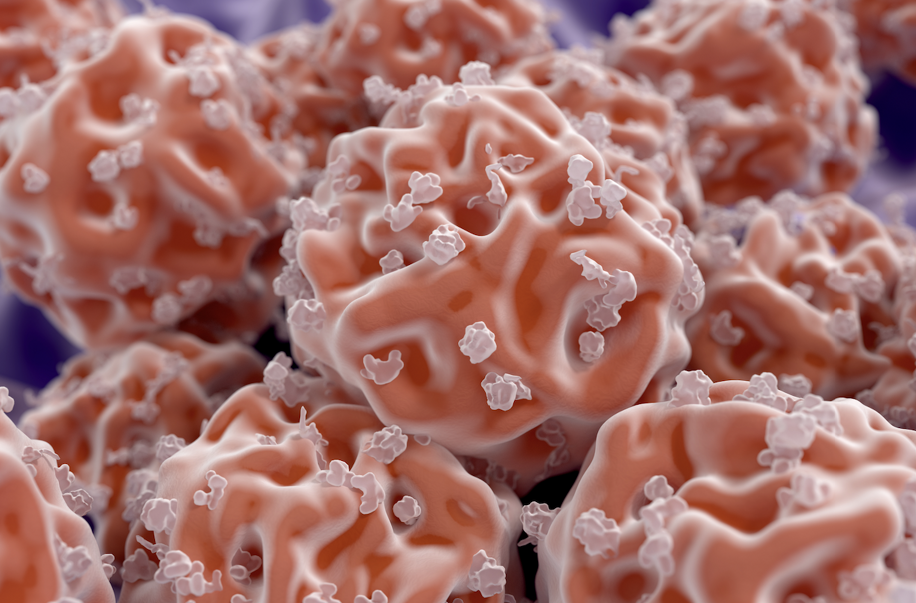 Staminali: tra scienza e bioetica