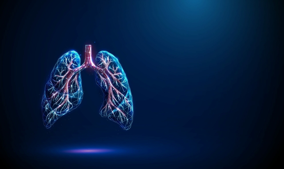 Dalle cellule agli organoidi: una nuova frontiera per la ricerca biomedica