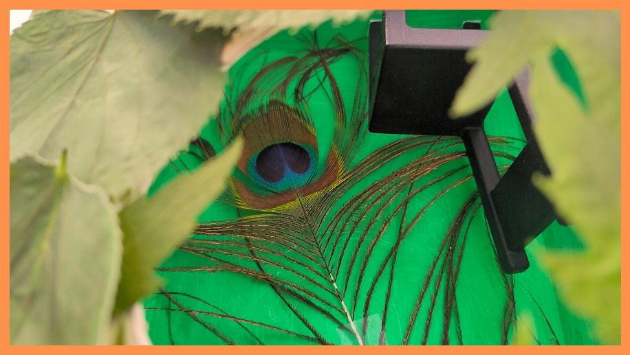 Giochiamo sull’identità ispirandoci alle opere di un’artista contemporanea